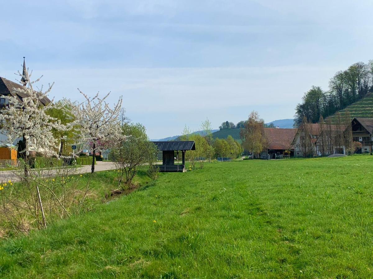Апартаменти Winzerhof Maennle Оберкірх Екстер'єр фото