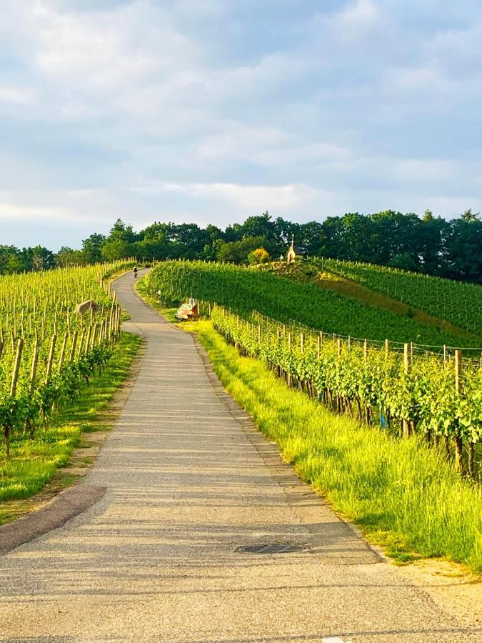 Апартаменти Winzerhof Maennle Оберкірх Екстер'єр фото