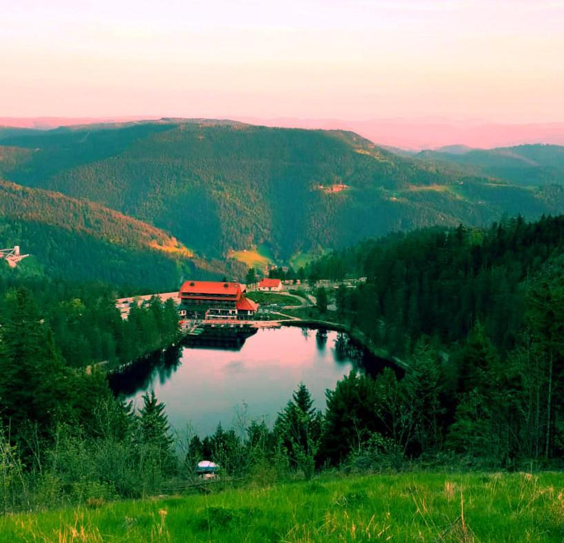 Апартаменти Winzerhof Maennle Оберкірх Екстер'єр фото