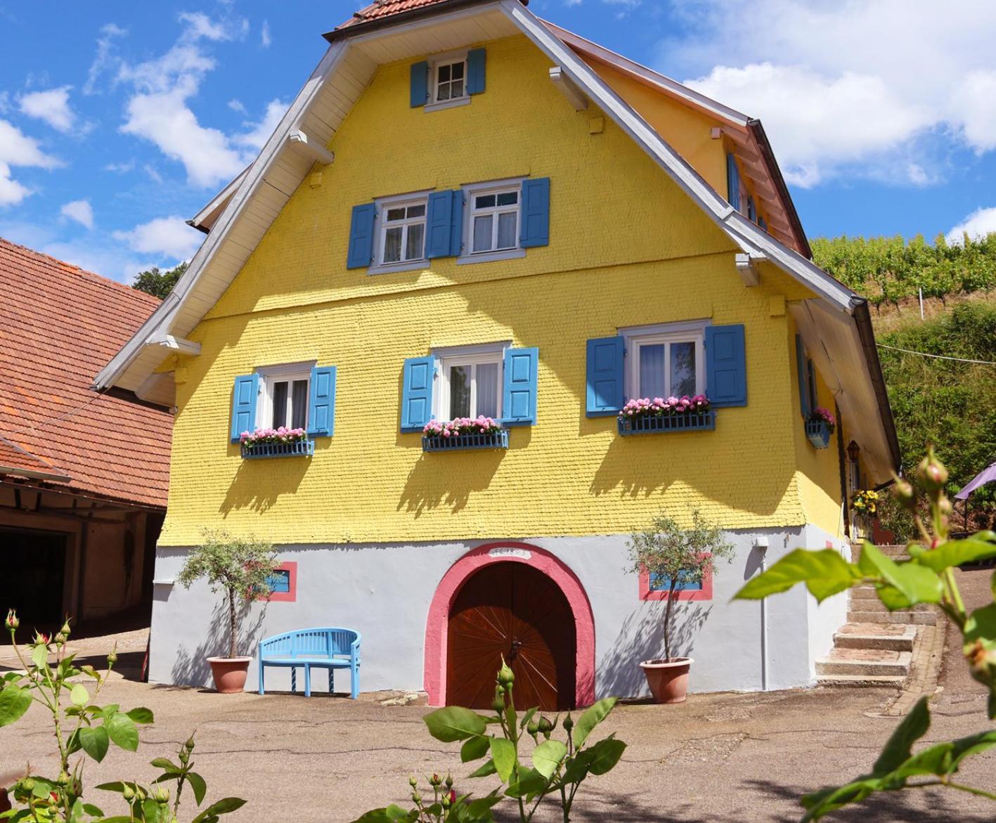Апартаменти Winzerhof Maennle Оберкірх Екстер'єр фото
